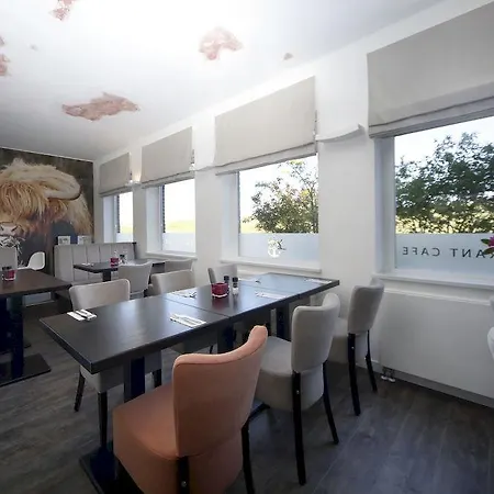 California 4*