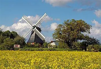 California 4* Kalifornien